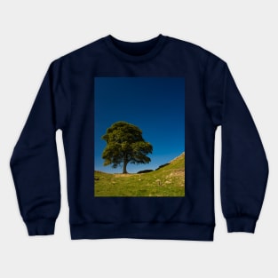 The Sycamore Gap Tree, Hadrian's Wall Crewneck Sweatshirt